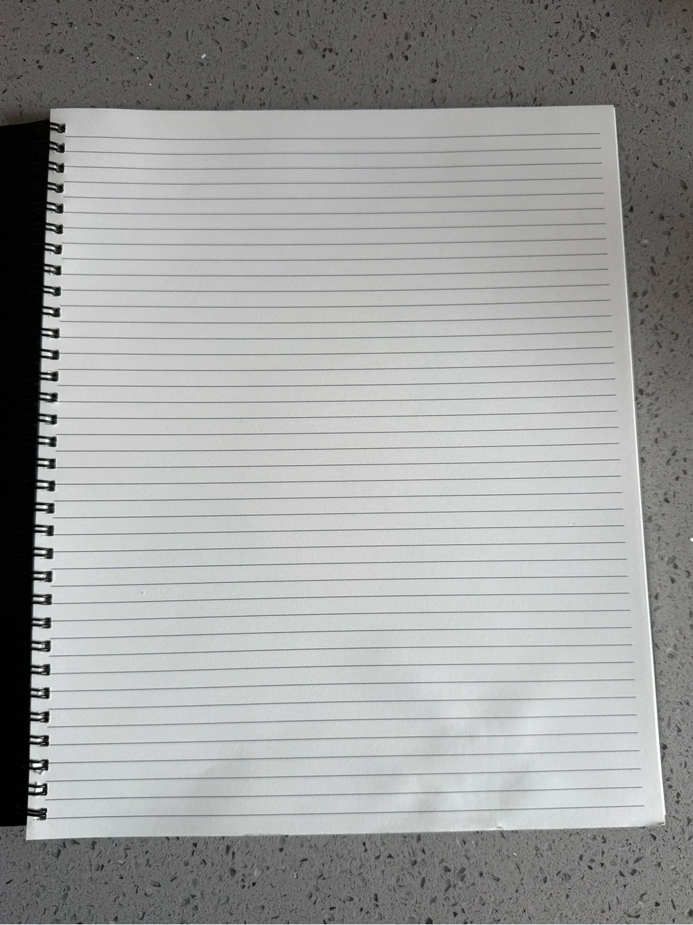 Cartier Black Notebook with Gold Logo